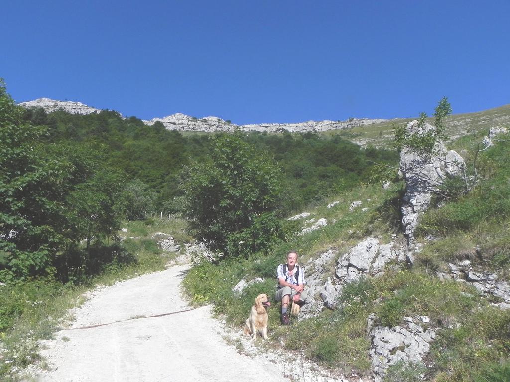 clic ici pour suivante