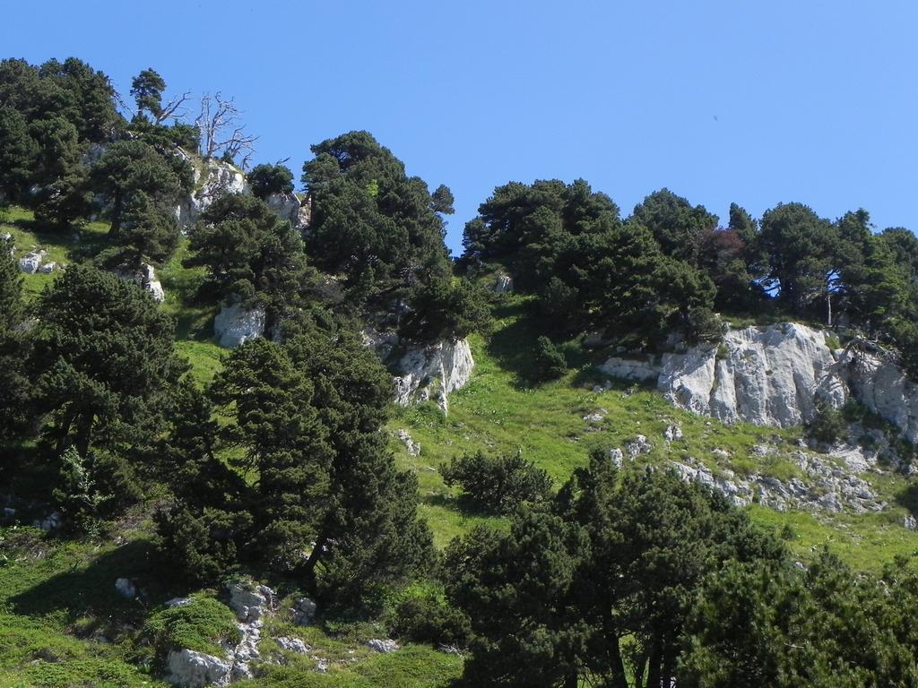 clic ici pour suivante