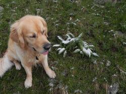 Clic pour agrandir l'image (1024x768 pixels; 190 KB)