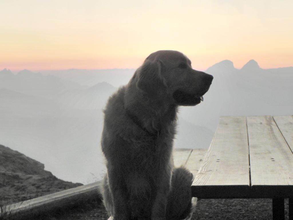 clic ici pour suivante