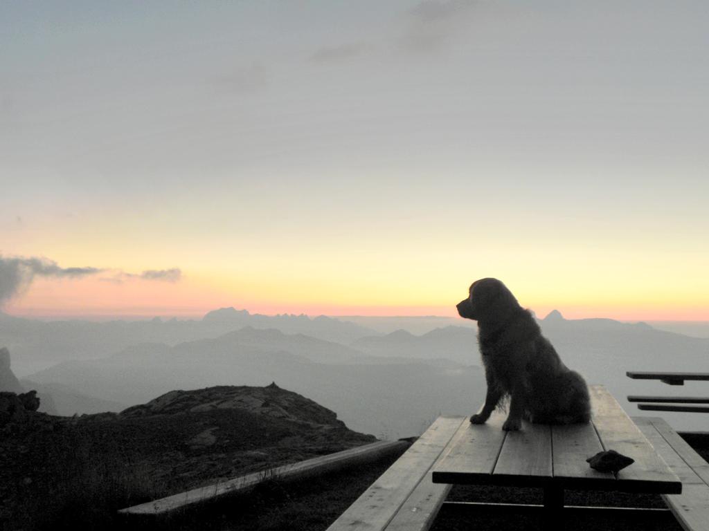 clic ici pour suivante