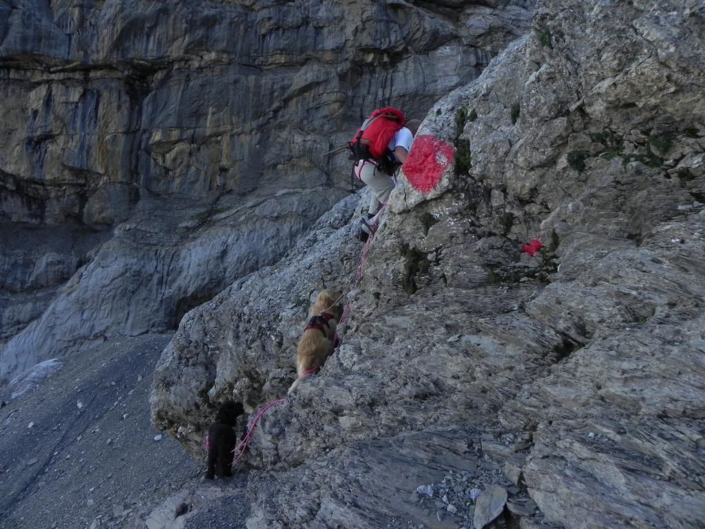 clic ici pour suivante