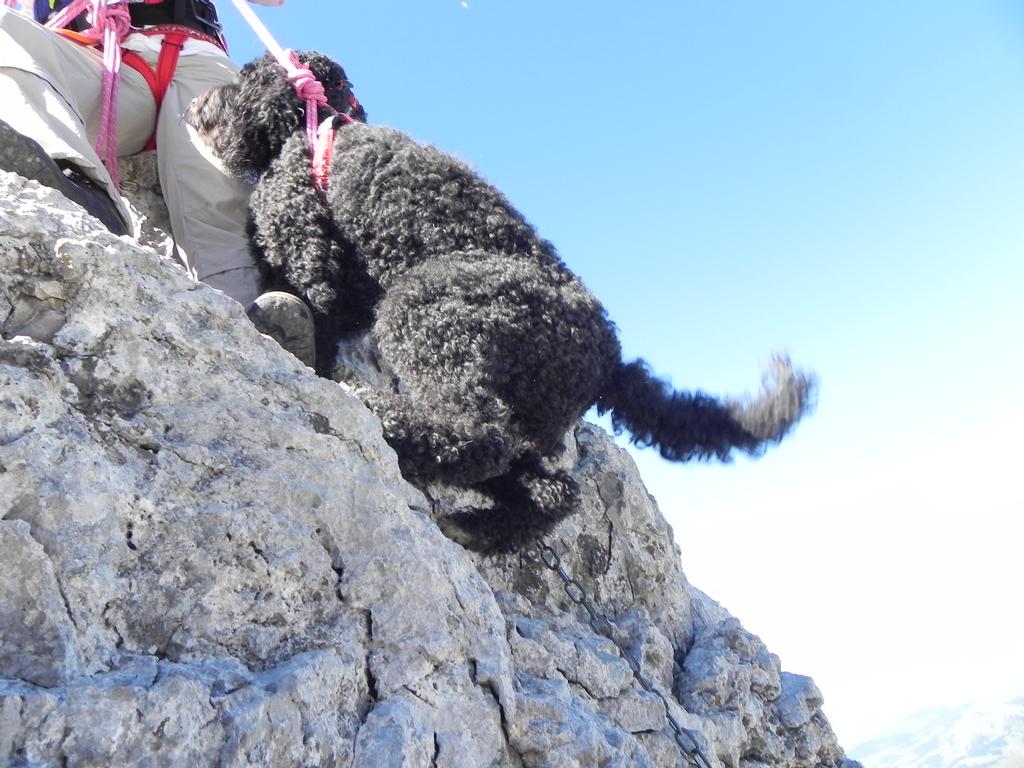 clic ici pour suivante