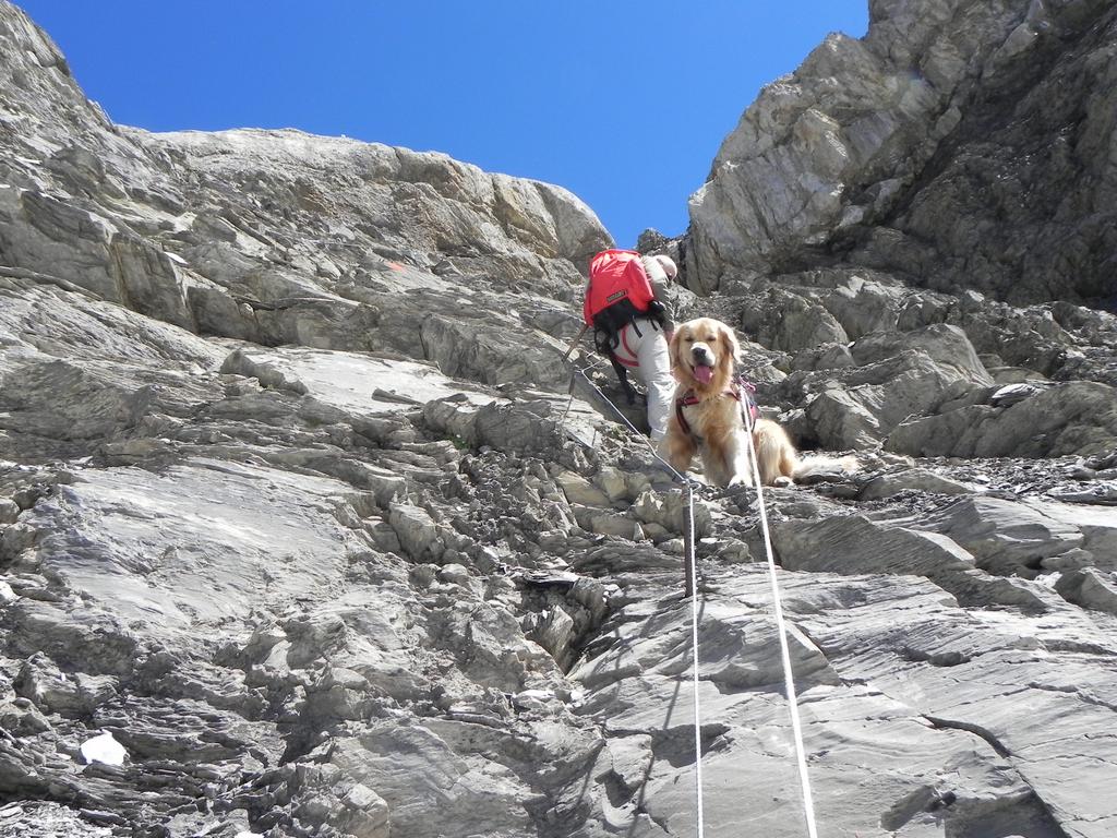 clic ici pour suivante