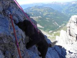 Clic pour agrandir l'image (1024x768 pixels; 127 KB)