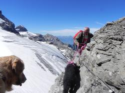 Clic pour agrandir l'image (1024x768 pixels; 132 KB)