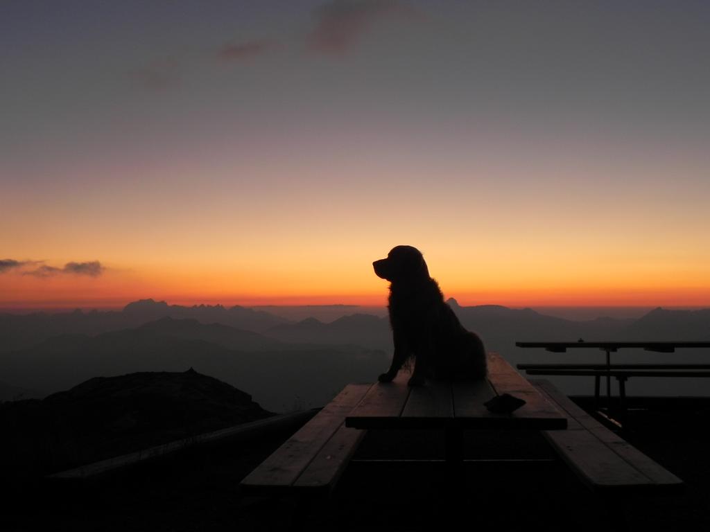 clic ici pour suivante