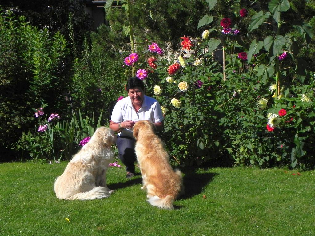 clic ici pour suivante