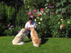 Clic pour agrandir l'image (1024x768 pixels; 190 KB)