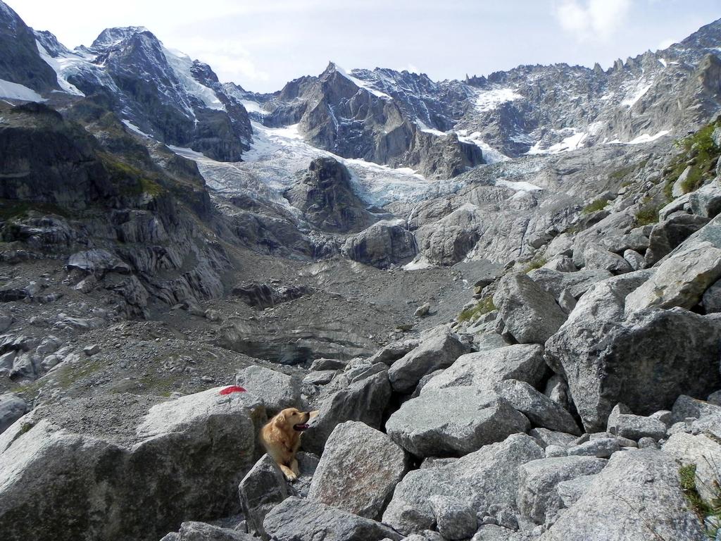 clic ici pour suivante