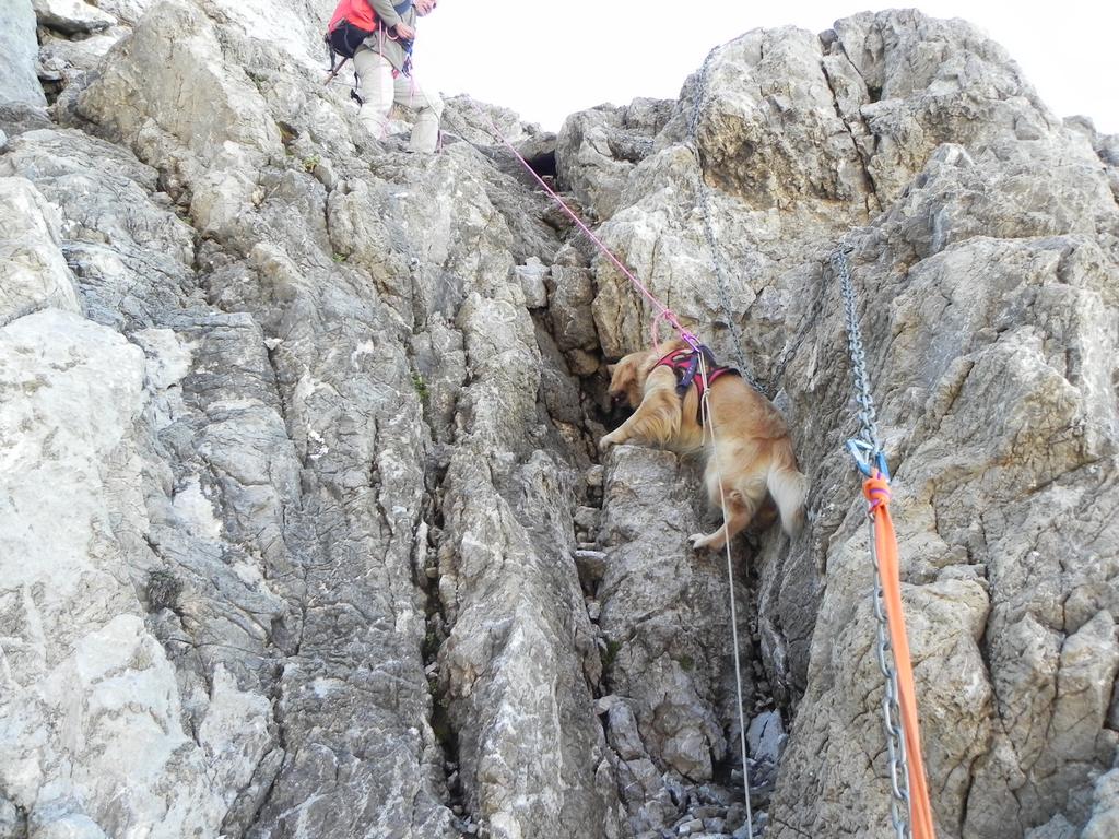 clic ici pour suivante