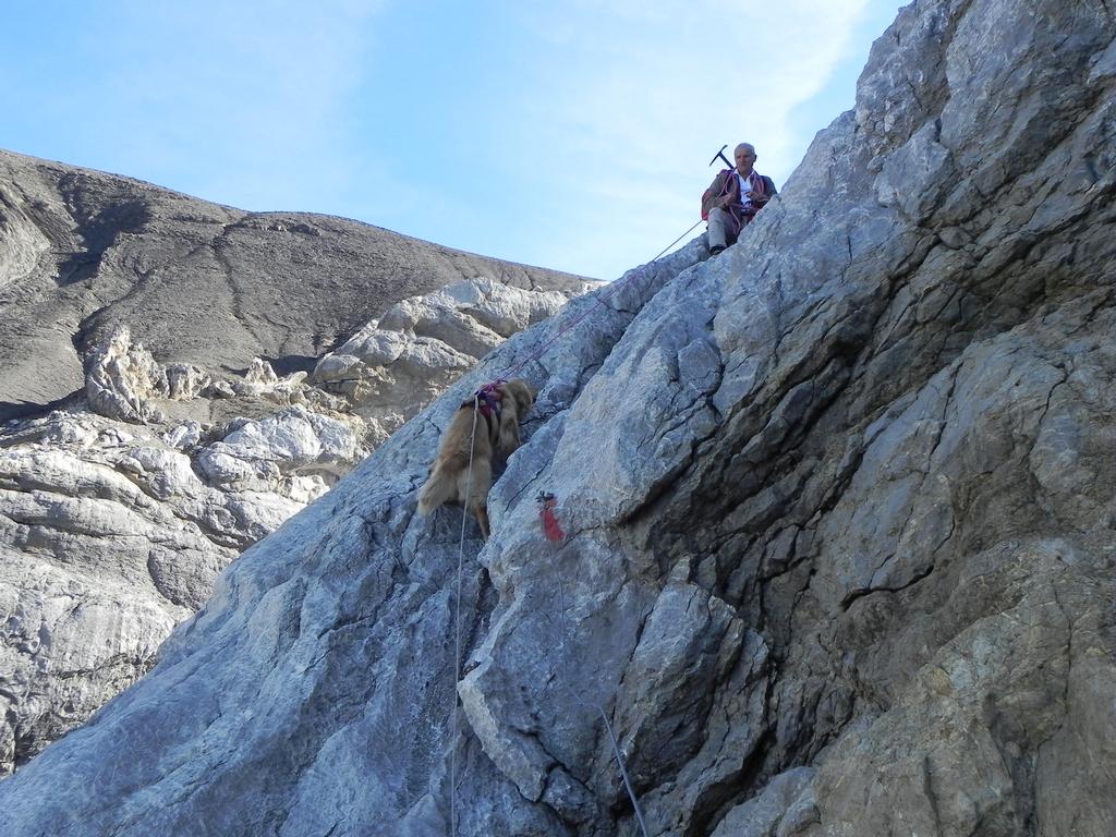 clic ici pour suivante