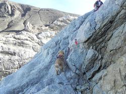 Clic pour agrandir l'image (1024x768 pixels; 191 KB)