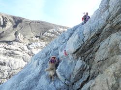 Clic pour agrandir l'image (1024x768 pixels; 171 KB)