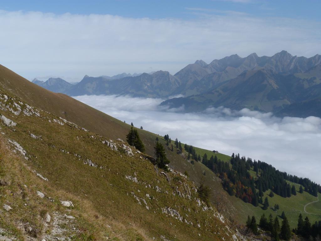 clic ici pour suivante