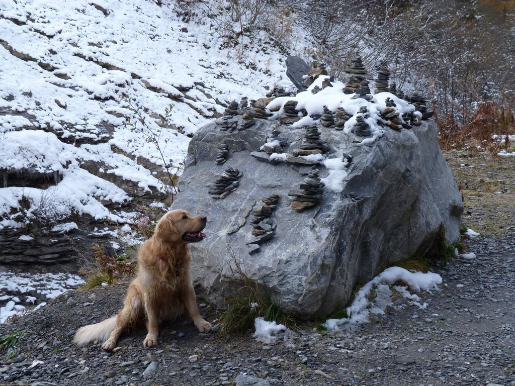 clic ici pour suivante