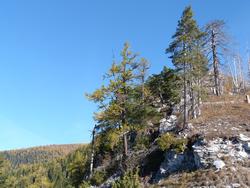 Clic pour agrandir l'image (1024x768 pixels; 162 KB)