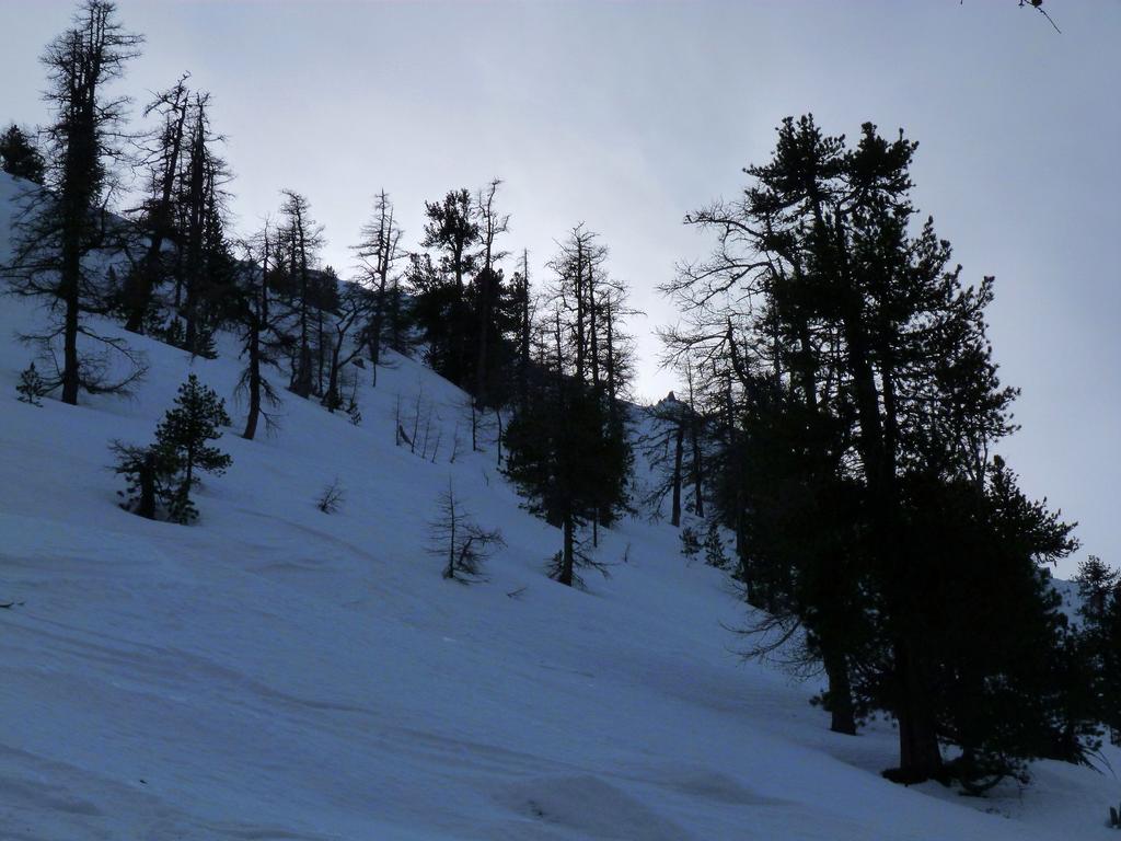 Cliqeu pour voir l'image suivante