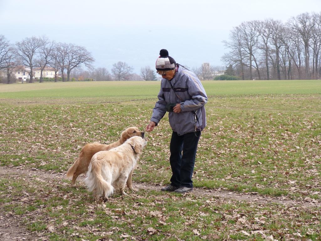 Cliqeu pour voir l'image suivante