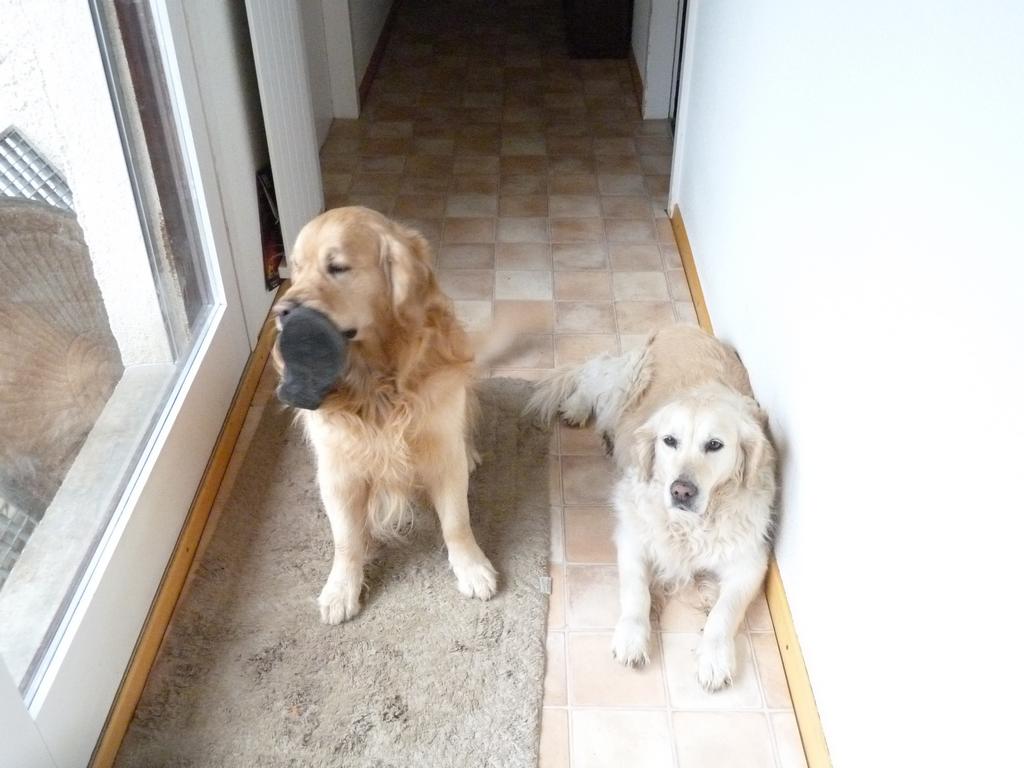 Cliqeu pour voir l'image suivante