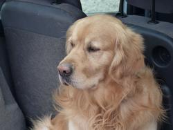 Clic pour agrandir l'image (1024x768 pixels; 86 KB)