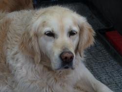 Clic pour agrandir l'image (1024x768 pixels; 76 KB)