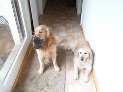 Clic pour agrandir l'image (1024x768 pixels; 79 KB)