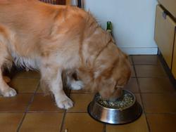 Clic pour agrandir l'image (1024x768 pixels; 75 KB)