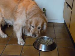 Clic pour agrandir l'image (1024x768 pixels; 89 KB)