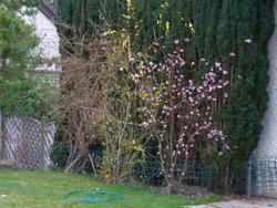 Clic pour agrandir l'image (1024x768 pixels; 186 KB)