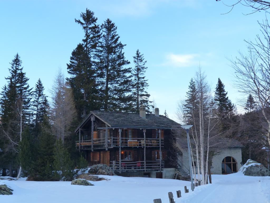 Cliqeu pour voir l'image suivante