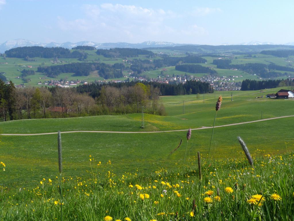 Cliqeu pour voir l'image suivante