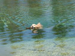 Clic pour agrandir l'image (1024x768 pixels; 141 KB)