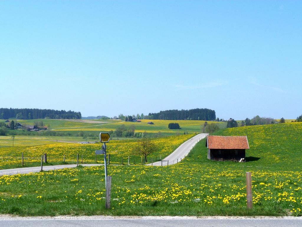 Cliqeu pour voir l'image suivante