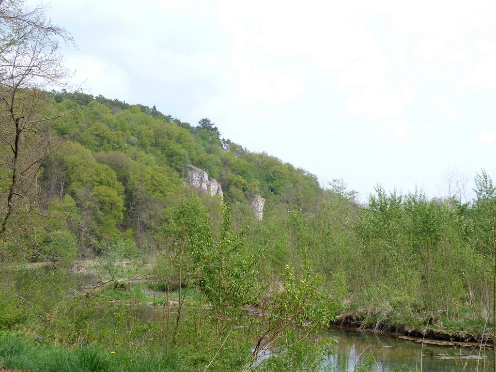 Cliqeu pour voir l'image suivante