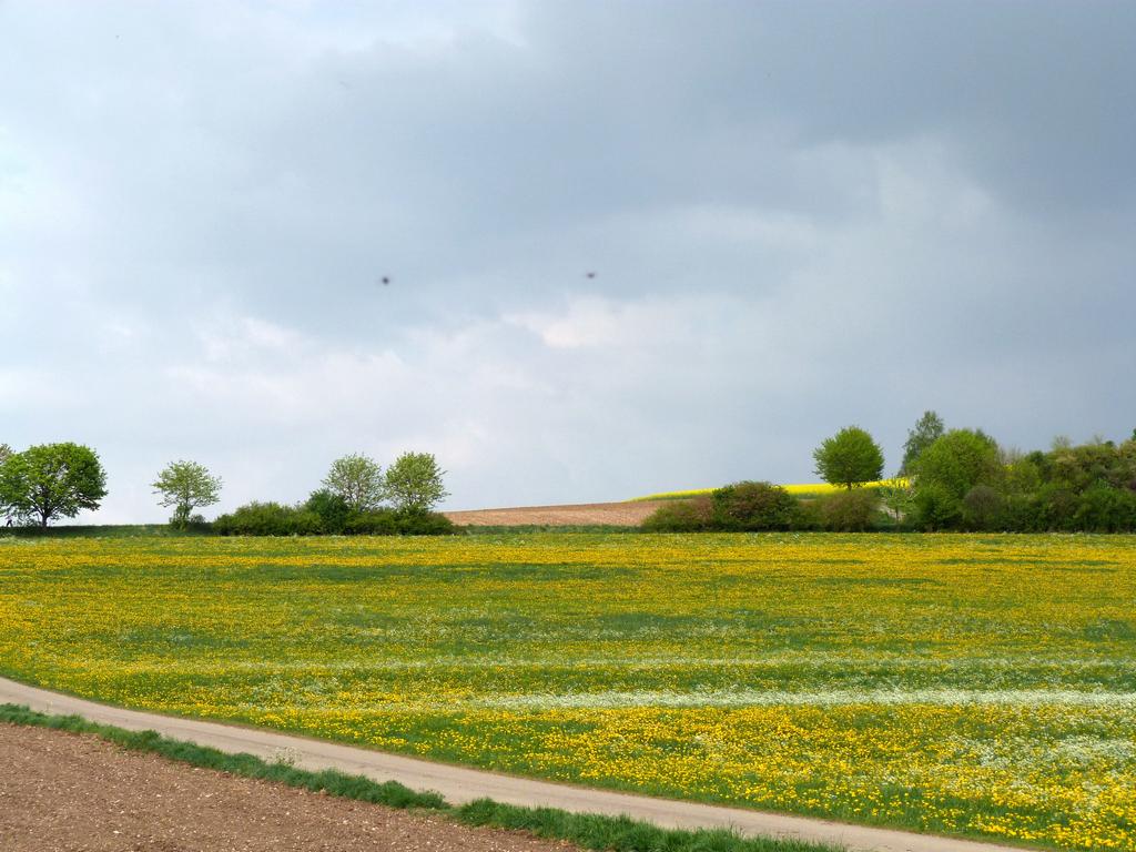 Cliqeu pour voir l'image suivante