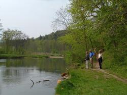 Clic pour agrandir l'image (1024x768 pixels; 144 KB)