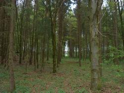 Clic pour agrandir l'image (1024x768 pixels; 163 KB)