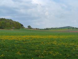 Clic pour agrandir l'image (1024x768 pixels; 93 KB)