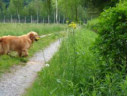 Clic pour agrandir l'image (1024x768 pixels; 198 KB)