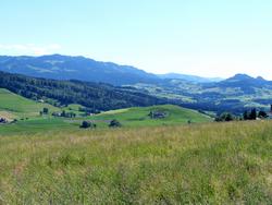 Clic pour agrandir l'image (1024x768 pixels; 148 KB)