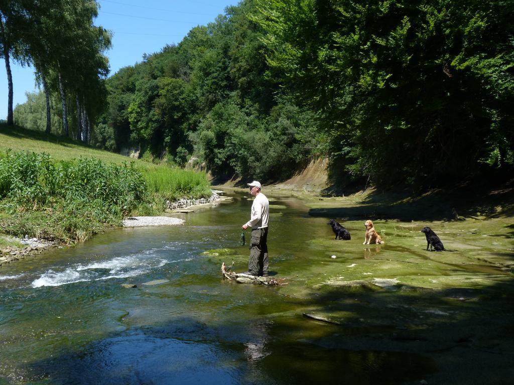 Clique pour voir l'image suivante