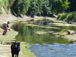 Clic pour agrandir l'image (1024x768 pixels; 193 KB)