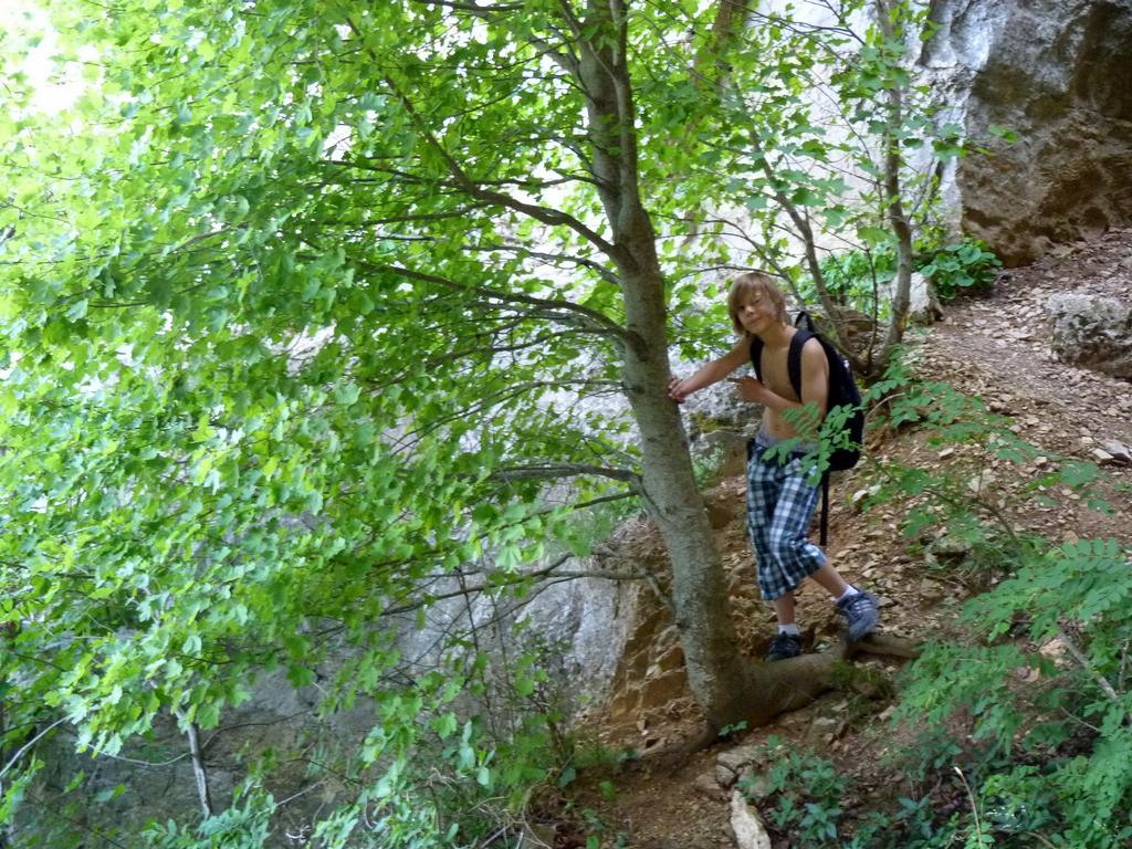 Clic pour l'image suivante