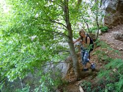 Clic pour agrandir l'image (1024x768 pixels; 203 KB)