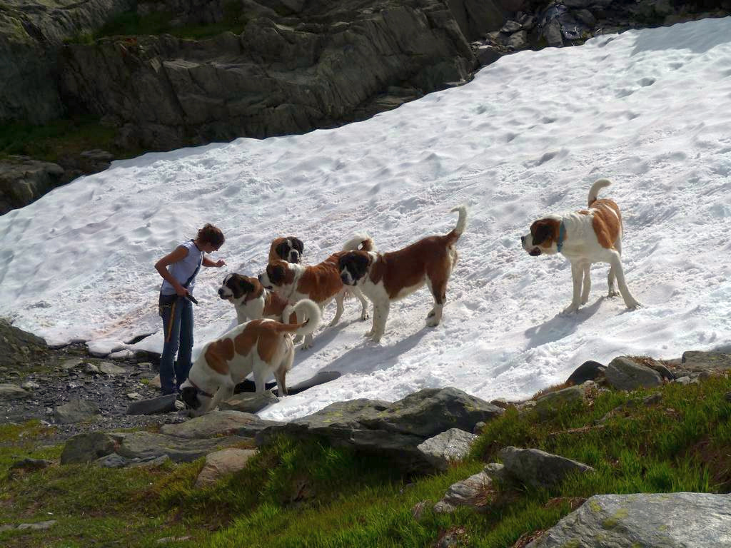 Clic pour l'image suivante