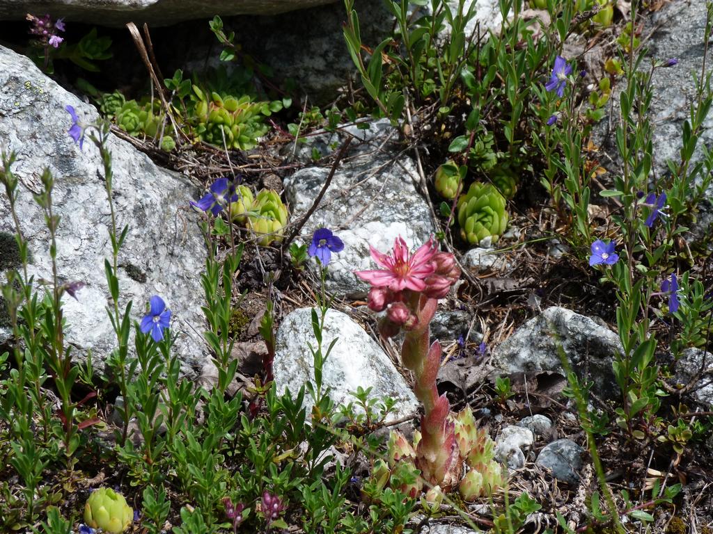 Clic pour l'image suivante