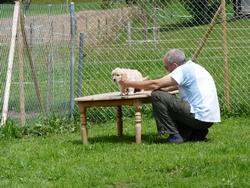 Clic pour agrandir l'image (1024x768 pixels; 236 KB)