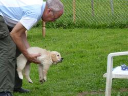 Clic pour agrandir l'image (1024x768 pixels; 148 KB)