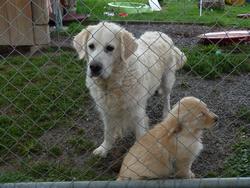 Clic pour agrandir l'image (1024x768 pixels; 166 KB)